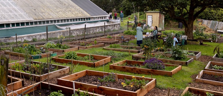 Community Gardens Open Sunday - East Wellington