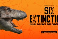 Image for event: Six Extinctions