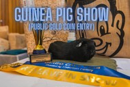 Image for event: Guinea Pig Show
