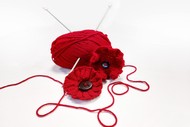 Image for event: Toitū Remembers - ANZAC : Knitted Poppies