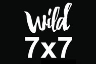 Image for event: 7x7 Wild Talks