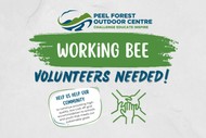 Working Bee at Peel Forest Outdoor Centre