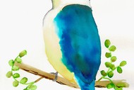 Image for event: Watercolour and Wine Night in Tauranga - Kōtare