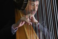 Image for event: The Harp In Concert - Josh Layne In Wellington