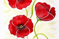 Image for event: Watercolour and Wine Night in Wellington - Poppies
