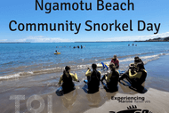 Image for event: Ngamotu Beach EMR Community Snorkel Day