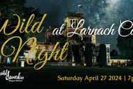 Image for event: Wild Night at Larnach Castle