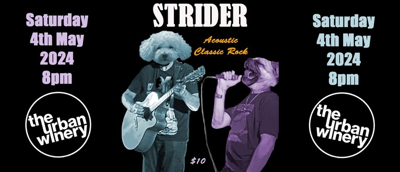 Strider - Acoustic Classic Rock