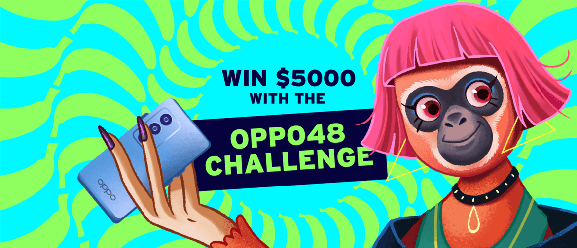OPPO48 Challenge