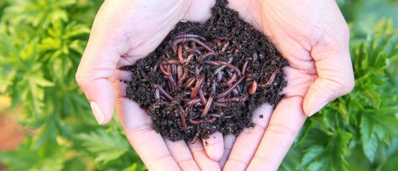 DIY In-Ground Worm Farms for Families