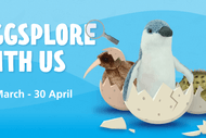Image for event: Become an EGGsplorer at the National Aquarium