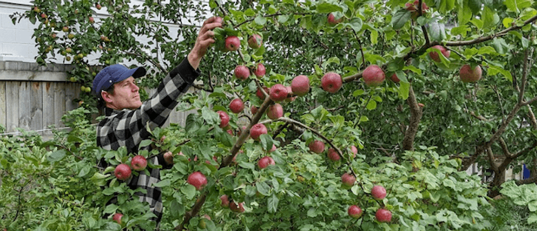 George Street Orchard Tours