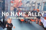 Image for event: No Name Alley – Wild About Dunedin