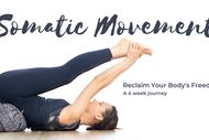 Image for event: Intro To Somatic Movement: Reclaim Your Body’s Freedom