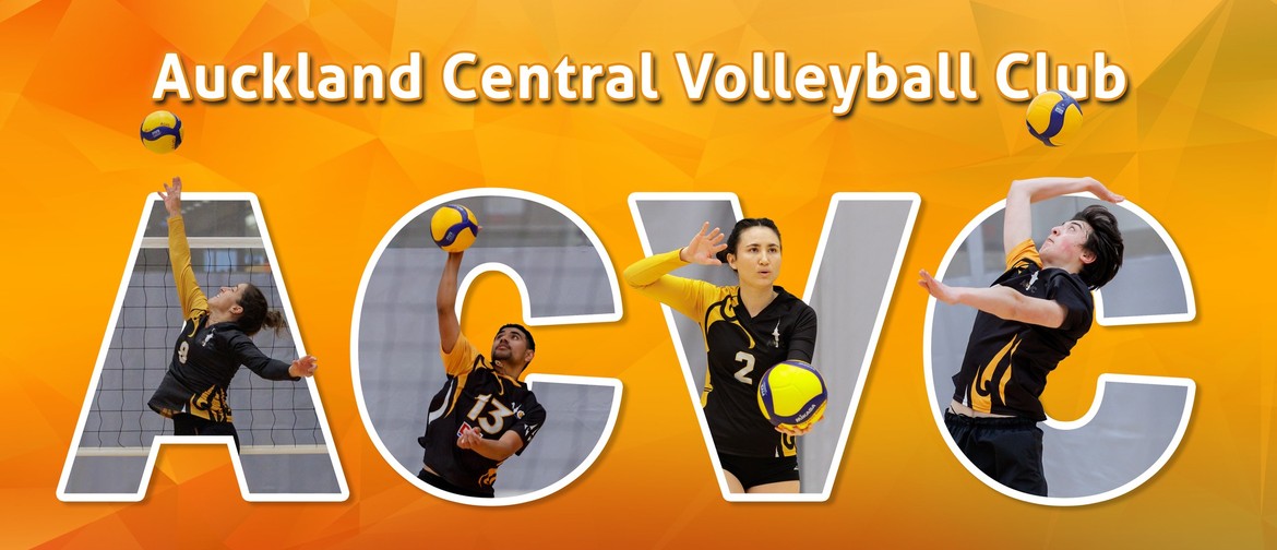 ACVC: Learn to play Volleyball! Adult/Teen Beginners