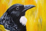 Image for event: Paint and Wine Night in Papamoa - Kowhai Tui
