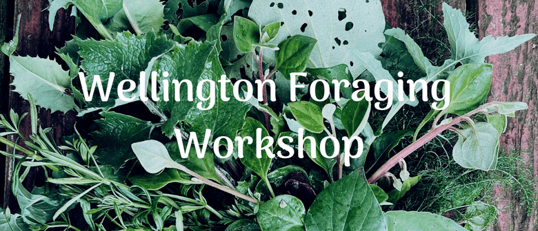 Wellington Wild Edible Plants Foraging Workshop