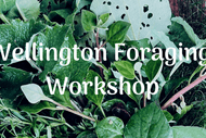 Image for event: Wellington Wild Edible Plants Foraging Workshop