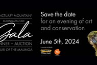Image for event: Mauri of The Maunga Gala Dinner and Art Auction