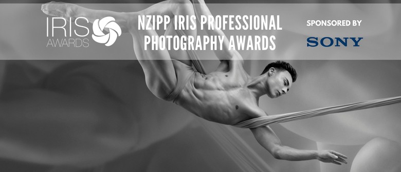 Judging of NZIPP Iris Professional Photography Awards