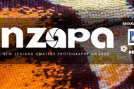 Image for event: Feedback NZ Amateur Photography Awards