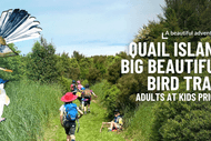 Image for event: Big Beautiful Bird Trail on Quail Island