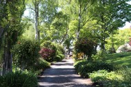 Image for event: Up the Garden Path - Garden Tour