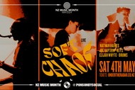 Image for event: Nathan Haines Presents Soft Chaos