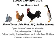Image for event: CD Poultry & Pigeon Club Young Bird show + Poultry Sale
