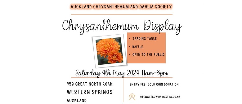 Auckland Chrysanthemum & Dahlia Soc - Chrysanthemum Display