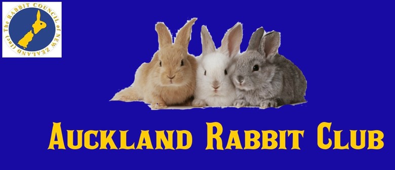 Auckland Rabbit Club Show
