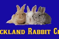 Image for event: Auckland Rabbit Club Show
