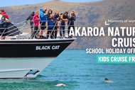 Image for event: Akaroa Nature Cruise - School Holiday Event