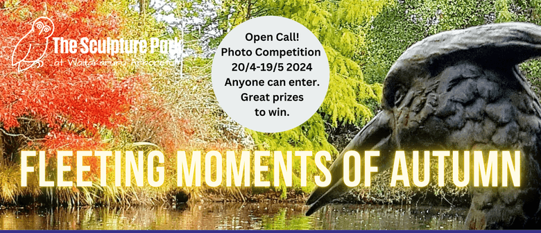 Photo Competition Fleeting Moments of Autumn