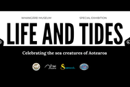 Image for event: Life and Tides