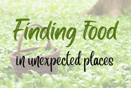 Image for event: Finding Food, Foraging Talk With Peter Langlands