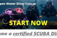 Image for event: PADI Open Water Diver Course