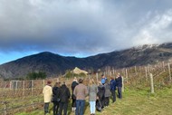Image for event: Gibbston Wine Walk including Lunch