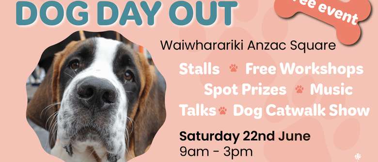 Dog Day Out Takapuna