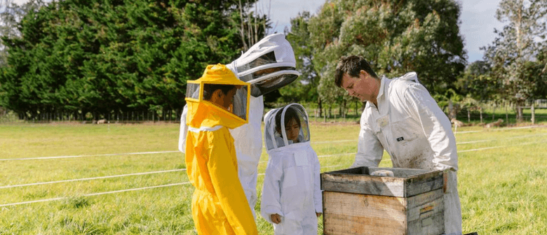 Festival of Christmas: Behind the Scenes With Greytown Honey