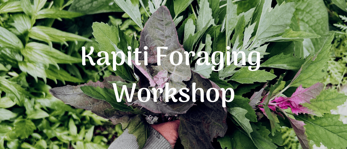 Kapiti Wild Edible Plants Foraging Workshop