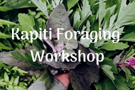 Kapiti Wild Edible Plants Foraging Workshop