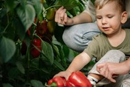 Image for event: Healthy Eating for Kids