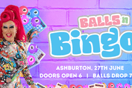 Image for event: Balls N Bingo, Ashburton