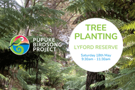 Image for event: Tree Planting
