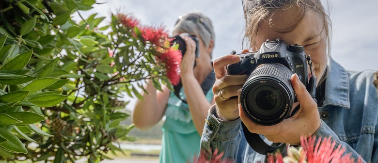 Photography Workshop for Beginners - 1-day 