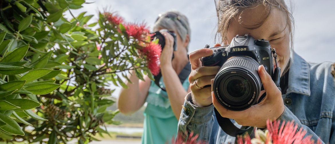 Photography Workshop for Beginners - 1-day 