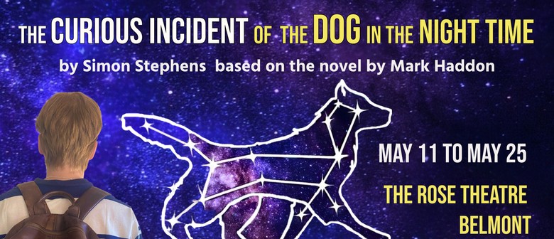 The Curious Incident of The Dog In the Night Time