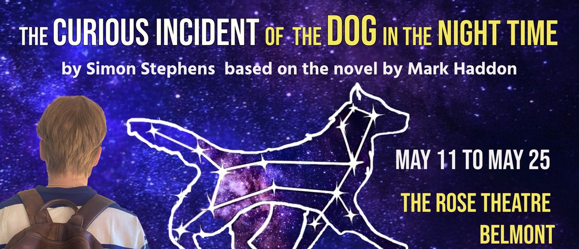 The Curious Incident of The Dog In the Night Time The Curious Incident of The Dog In the Night Time