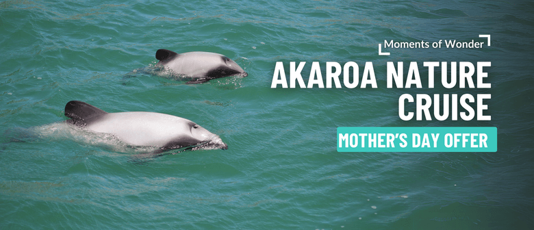 Mother’s Day Aboard Akaroa Nature Cruise